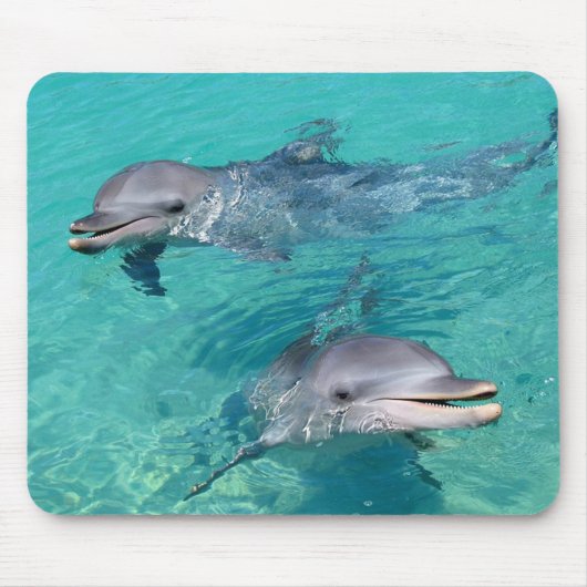 Delphine Mousepad (Vorne)