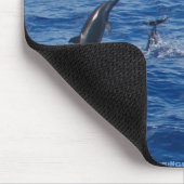 Delphine ~ Nordwestküste von Lanai Mousepad (Ecke)