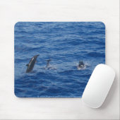 Delphine ~ Nordwestküste von Lanai Mousepad (Mit Mouse)
