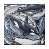 Delphine, orcas, belugas und Narvales, Fliese (Vorderseite)