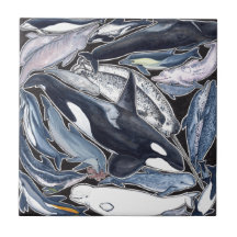 Delphine, orcas, belugas und Narvales,