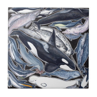 Delphine, orcas, belugas und Narvales, Fliese