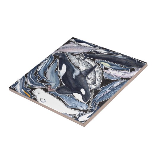 Delphine, orcas, belugas und Narvales, Fliese (Seite)