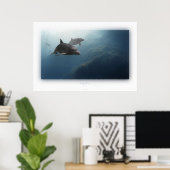 Delphine Poster (Heimbüro)