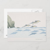 Delphine Postkarte (Vorne/Hinten)