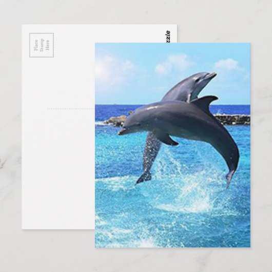 Delphine Postkarte (Vorne/Hinten)