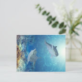 Delphine Postkarte (Stehend Vorderseite)