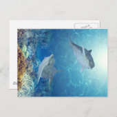 Delphine Postkarte (Vorne/Hinten)