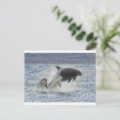 Delphine Postkarte (Stehend Vorderseite)