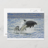 Delphine Postkarte (Vorne/Hinten)