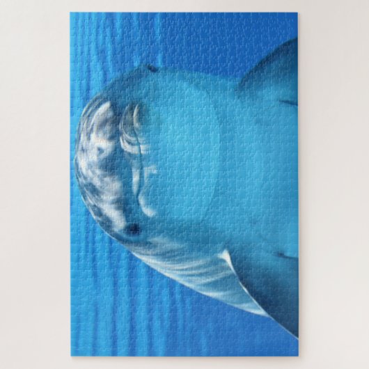 Delphine Puzzle (Vertikal)