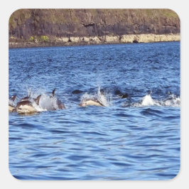 Delphine Quadratischer Aufkleber