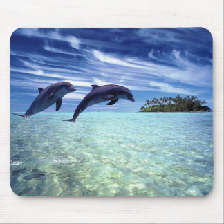 Delphine reichlich mousepad