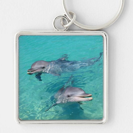 Delphine Schlüsselanhänger (Vorne)