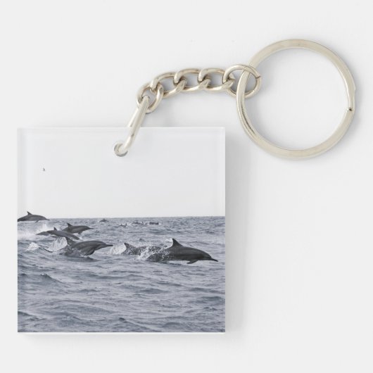Delphine Schlüsselanhänger (Rückseite)