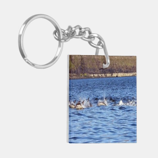 Delphine Schlüsselanhänger (Vorderseite links)