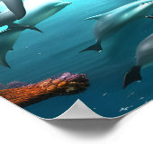 Delphine schwimmen unter Wasser Poster (Ecke)