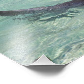 Delphine, Sea World, Gold Coast, Queensland, Fotodruck (Ecke)