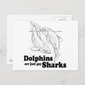 Delphine sind Schwulenhaie Postkarte (Vorne/Hinten)