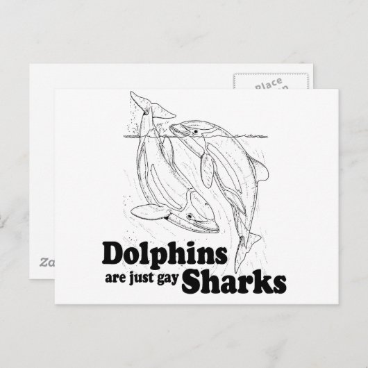 Delphine sind Schwulenhaie Postkarte (Vorne/Hinten)