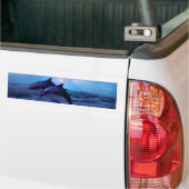 Delphine spielen im Meer Autoaufkleber (Auf Lkw)