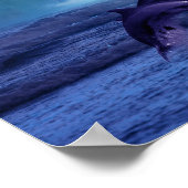 Delphine spielen und spielen poster (Ecke)