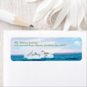 Delphine springen (Insitu)