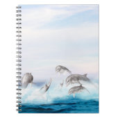 Delphine springen notizblock (Vorderseite)