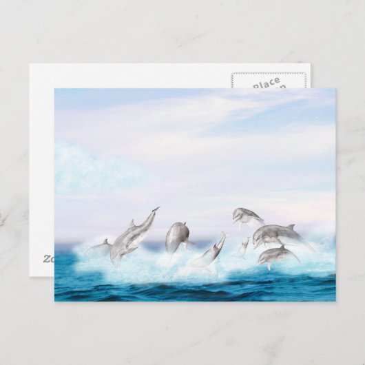 Delphine springen postkarte (Vorne/Hinten)