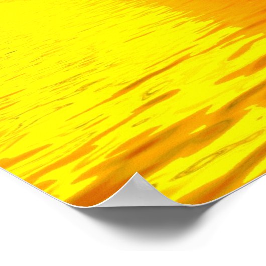 Delphine springen Sunset Poster (Ecke)