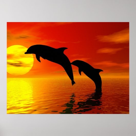 Delphine springen Sunset Poster (Vorne)