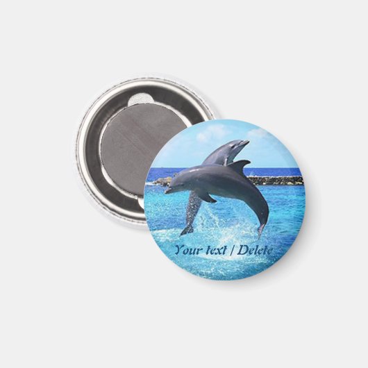 Delphine tanzen im Meer Magnet (Vorderseite/Rückseite)