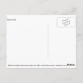 Delphine und Killerwale Postkarte (Rückseite)