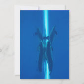 Delphine und Reflexionen blaue Meeresgewässer Einladung (Vorderseite)