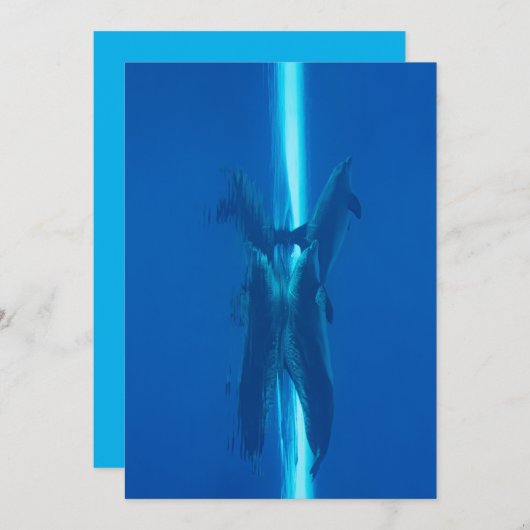 Delphine und Reflexionen blaue Meeresgewässer Einladung (Vorne/Hinten)