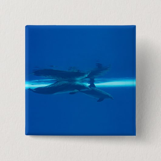 Delphine und Reflexionen Button (Vorderseite)