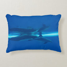 Delphine und Reflexionen