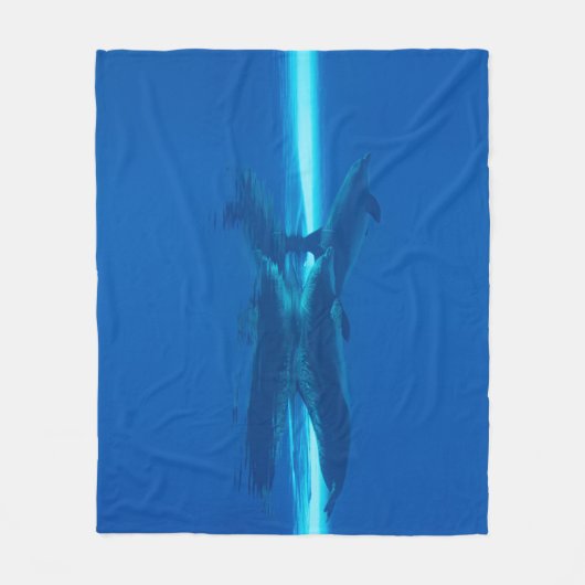Delphine und Reflexionen Fleecedecke (Vorderseite)