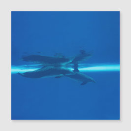 Delphine und Reflexionen Magnetkarte