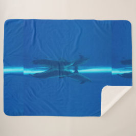 Delphine und Reflexionen Sherpadecke