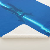 Delphine und Reflexionen Sherpadecke (3/4)