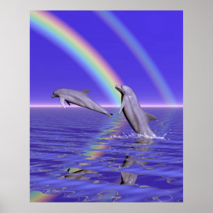 Delphine und Regenbogen Poster