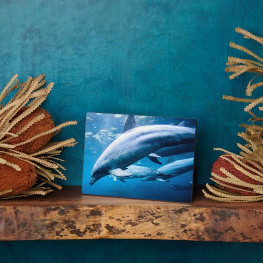 Delphine unter Wasser Fotoplatte (Seite)