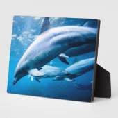 Delphine unter Wasser Fotoplatte (Seite)