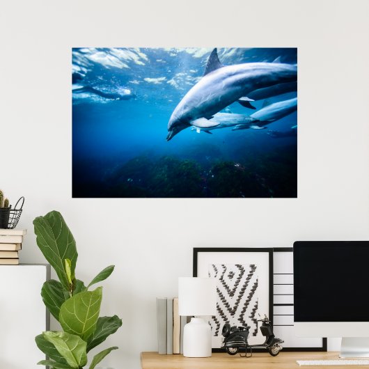 Delphine unter Wasser Poster (Heimbüro)