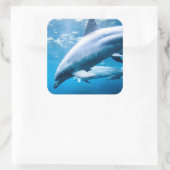 Delphine unter Wasser Quadratischer Aufkleber (Tasche)