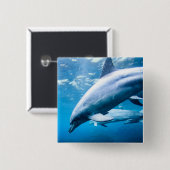 Delphine Unterwasser Button (Vorne & Hinten)