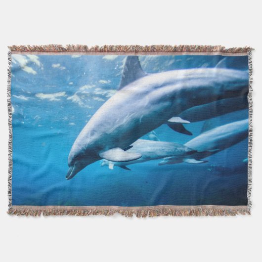 Delphine Unterwasser Decke (Vorderseite)