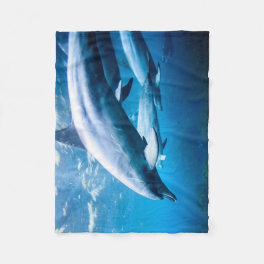 Delphine Unterwasser Fleecedecke (Vorderseite)