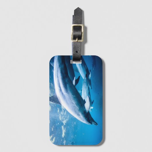 Delphine Unterwasser Gepäckanhänger (Vorderseite Vertikal)